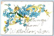 Waterloo Iowa IA Postcard Greetings Embossed Flowers And Leaves c1910's Antique picture