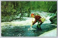 Postcard New York West Hurley Greetings Fisherman Catching Fish In Stream picture