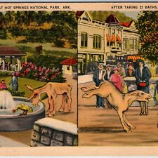 c1940s Hot Springs AK Two View Comic 