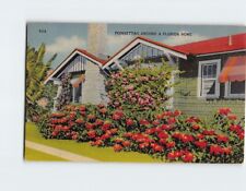 Postcard Poinsettias Around a Florida Home USA picture