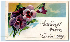 1909 Greetings from Erin New York NY Purple Flower Glitter Posted Postcard picture