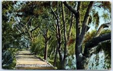 Postcard Lover's Lane California Park USA North America picture