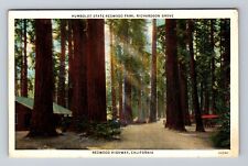 Redwood Highway CA- California, Humboldt, Redwood Park, Vintage c1934 Postcard picture