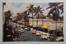 Worth Avenue - Palm Beach, Florida Postcard picture