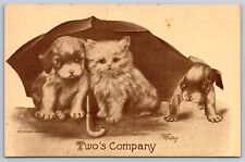 Postcard Two's Company Kitten and Puppie Artist Signed V. Colby c1909 C14 picture