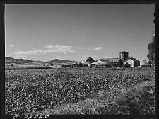 Fort Collins,Larimer County,Colorado,CO,Farm Security Administration,FSA picture