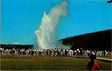 VTG POSTCARD OLD FAITHFUL GEYSER YELLOWSTONE NATIONAL PARK WY MIKE ROBERTS PROD picture