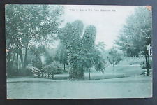 View in Gypsie Hill Park Staunton VA Posted DB Postcard picture