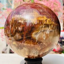 4.53lb Large Natural Petrified Wood Crystal Fossil Sphere Specimen Healing picture