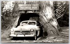RPPC Chandelier Tree Underwood Park, Redwood Highway Old Mercury Car Real Photo picture