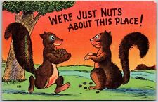Squirrels Under The Nut  Tree 