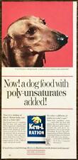 1963 Ken-L-Ration Dog Food PRINT AD Cute Dachshund Wiener Dog Photo picture