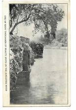 Postcard View of Suwannee River Live Oak Perry & the Gulf Railroad Co FL Florida picture