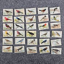 1922 Arm & Hammer Useful Birds of America 3rd Series 30 Card Set Great Condition picture