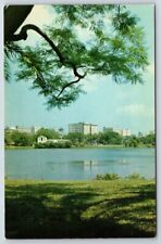 Postcard St Petersburg Florida Mirror Lake picture