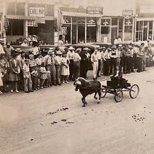 Vintage B&W Photograph Parade Girl & Horse Pony Street View Denison IA picture