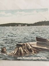 C 1905 Lake Mooselookmeguntic Maine UDB Antique Postcard picture