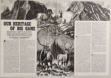 1942 Magazine Picture Big Game Bighorn Sheep,Deer, Drawn by Walter Wilwerding picture