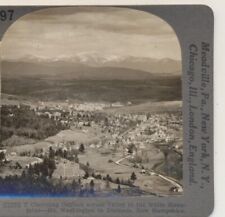 Charming town in the White Mountains Mt Washington distant Stereoview c1900 picture