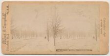 OHIO SV - Cleveland - Lake View Cemetery in Winter - Alfred Campbell c1896 picture