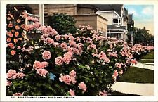Rose Covered lawns Portland Oregon OR WB Postcard VTG UNP Vintage Unused picture