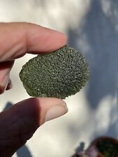 Moldavite- 23 Grams Beautiful Color, Transparency, Texture Genuine Chlum picture