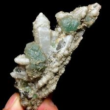 122g Graptolite PREHNITE QUARTZ crystal&Lemurian Quartz Lemuria crystal  C75 picture