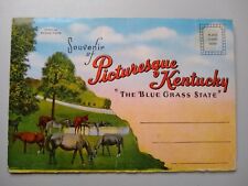 Postcard Folder - The Blue Grass State - Picturesque Kentucky picture