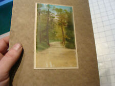 vintage mounted Colorized photo postcard of path in trees old,some wear as shown picture