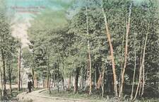 The Birches Lakeview Park Foxboro 1909 DB MA Mass  VTG  P73 picture