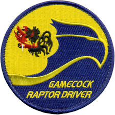USAF 19th FIGHTER SQUADRON F-22 PILOT PATCH picture