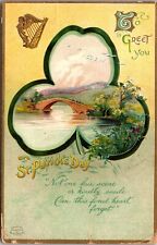 Clapsaddle St. Patricks Day Postcard Giant Clover Countryside Scene Bridge picture