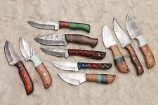 LOT OF 10 PCS HANDMADE DAMASCUS STEEL BLADE MIX SKINNER  HUNTING KNIFE # H-20 picture