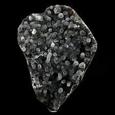 Black Chalcedony Translucent  Natural Mineral Specimen # B 4449 picture