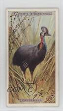 1924 Player's Natural History Tobacco Cassowary #12 1i3 picture