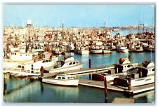 1956 Sportfishing Boats Scene Municipal Yacht Basin San Diego CA Posted Postcard picture