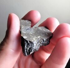 10.4g Endcut NWA 15641 RARE meteorite CK 5-6 One of two available to collectors picture
