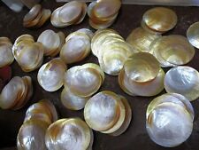 seashells  MOP Mother of Pearl  3 inches round shape  100 pcs picture