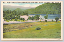 Hungry Mother State Park Concessionaire's Home, Marion VA Postcard, Lake Beach picture