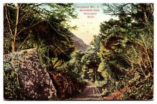 1911 Adirondack Road, Adirondack Mountains, Wilmington Notch, NY Postcard picture