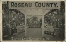 Roseau County MN State Fair Exhibit Vegetables 1909 Real Photo Postcard picture
