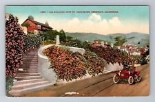 Berkeley CA-California, Six Hundred Feet Of Geraniums, Antique Vintage Postcard picture