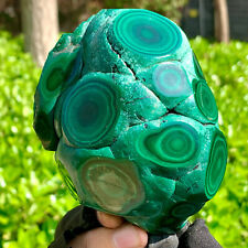 1.52LB Natural glossy Malachite transparent cluster rough mineral sample picture