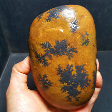 BEST HOT996G Natural Gobi  tree  agate  China Mongolia  5254+ picture