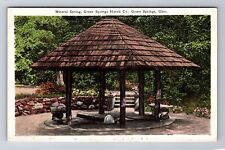 Green Springs OH-Ohio, Mineral Spring, Green Springs Hotels, Vintage Postcard picture