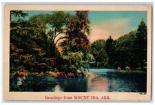 c1940s Greetings From Mount Ida Tree Flowers Scene Arkansas AK Unposted Postcard picture