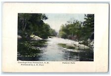 c1920's Greetings From New Market Packer's Falls New Hampshire Vintage Postcard picture