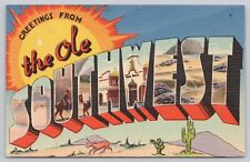 The Ole Southwest, Large Letter Greetings, Desert Cactus, Vintage Postcard picture