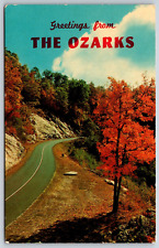 Postcard Greetings From The Ozarks, Fall Delight Unposted picture