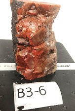 2 Utah Petrified Wood Rare Red Yellow Volcanic Towers Display 3 1/4 Lbs   picture